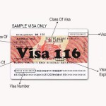 Visa 116 – Định cư Úc đoàn tụ gia đình diện chăm sóc người thân   