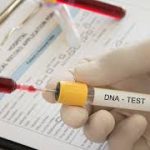 USCIS cập nhật chính sách về bằng chứng DNA trong hỗ trợ xác định các mối quan hệ anh chị em